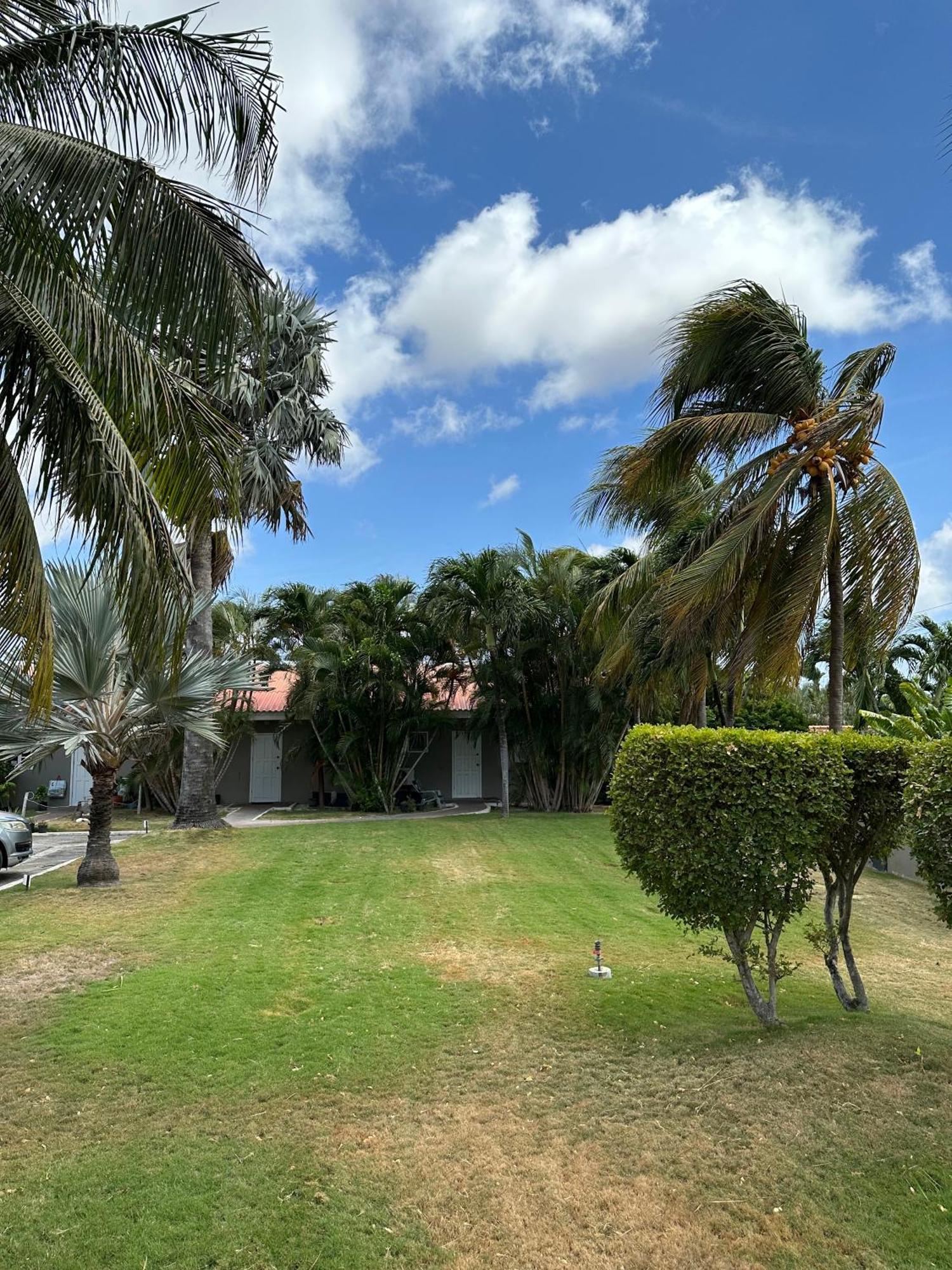Windmill Apartments Curacao Willemstad Dış mekan fotoğraf