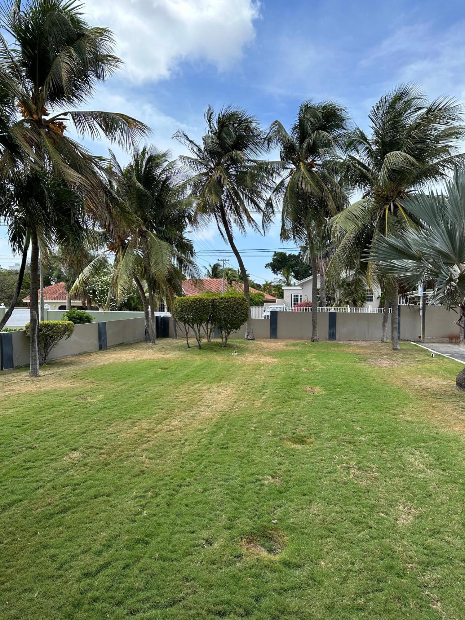 Windmill Apartments Curacao Willemstad Dış mekan fotoğraf